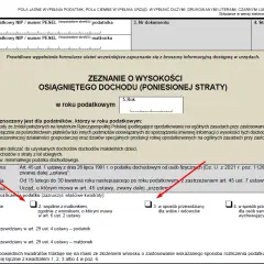 Ile się płaci za rozliczenie pitu? Sprawdź, by uniknąć wysokich kosztów