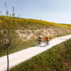 Ciekawe trasy rowerowe w Polsce, które musisz zobaczyć i przeżyć
