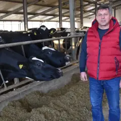 Embriotransfer u bydła: Ile kosztuje i czy się opłaca?