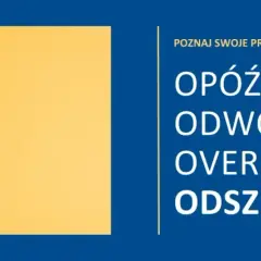 Odszkodowanie za opóźniony lot: kto odpowiada, biuro czy przewoźnik?