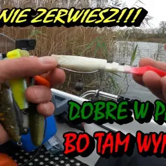 Przynęty antyzaczepowe: jak uniknąć strat i poprawić wędkarstwo