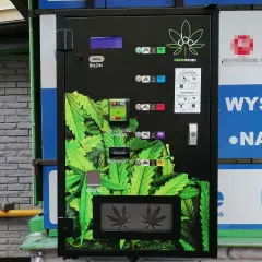 Automaty z konopiami w Polsce: co musisz wiedzieć o ich legalności i działaniu