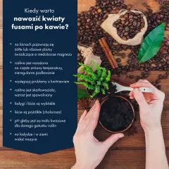 Fusy z kawy jako nawóz - skuteczne metody i najlepsze praktyki w ogrodzie