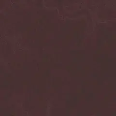 Najciekawsze atrakcje w Chojnie, które musisz zobaczyć