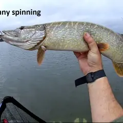 Najlepsza przynęta na szczupaka spinning – unikaj błędów w wyborze