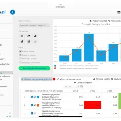 Analiza finansowa online: Krok po kroku do lepszych decyzji