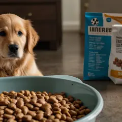 Karma dla golden retrievera: Jak wybrać najlepszą? Wskazówki