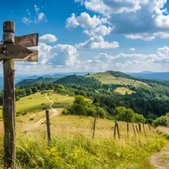 Co można zwiedzić na Podkarpaciu? 8 ukrytych perełek regionu