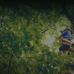 Park Linowy Gibon - atrakcje, trasy i opinie dla całej rodziny