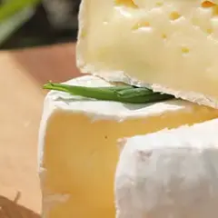 Ile kalorii ma ser? Zaskakujące różnice między rodzajami sera