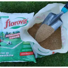 Jaki nawóz na trawnik w czerwcu, aby uniknąć błędów w pielęgnacji?