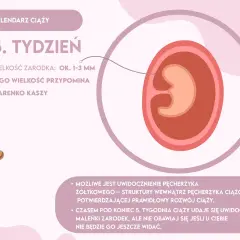 Czy w 5 tygodniu lekarz potwierdzi ciążę? Sprawdź, co warto wiedzieć