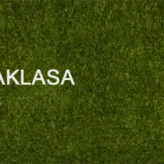 Kiedy powstała ekstraklasa? Historia, która zaskoczy każdego fana
