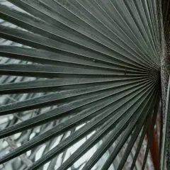 Po co andodować profile aluminiowe?