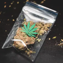 Co grozi za posiadanie 5g marihuany? Sprawdź kary i konsekwencje