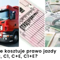 Ile kosztuje prawo jazdy na tira? Poznaj wszystkie opłaty
