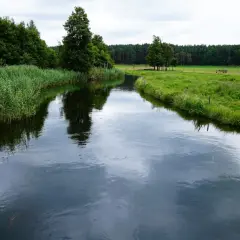 Gdzie na kajaki Pomorskie - najlepsze trasy i ukryte perełki