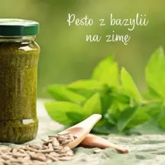Jak zrobić pesto z bazylii na zimę - prosta receptura na zapas