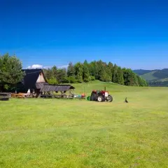 Bacówka u Wojtka - tradycyjne sery i wyjątkowe doświadczenia w górach