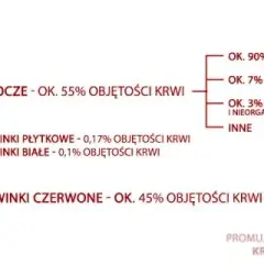 Co oznacza jednostka krwi i ile to dokładnie jest - pełna definicja medyczna