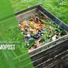 Jak zrobić kompost w domu: 8 kroków do własnego nawozu