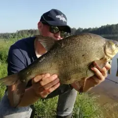 Jak zwabić ryby na łowisko - sprawdzone metody i najczęstsze błędy