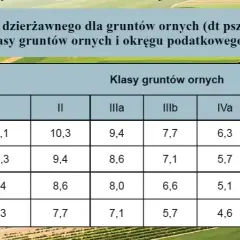 Czynsz dzierżawny – co to jest i jak uniknąć problemów prawnych?
