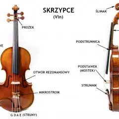 Jak powstały instrumenty smyczkowe? Odkryj ich fascynującą historię