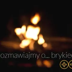 Jaki brykiet do kominka wybrać, aby uniknąć zanieczyszczeń?