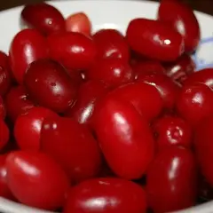 Nalewka z derenia na co pomaga - poznaj jej niezwykłe właściwości zdrowotne