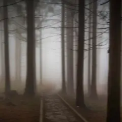 Puls horror: porównanie japońskiego oryginału i amerykańskiego remake'u
