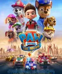 Najlepsze filmy o pieskach, które wzruszą i bawią każdego miłośnika psów