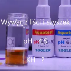 Jak obniżyć KH w akwarium i poprawić zdrowie ryb bez stresu