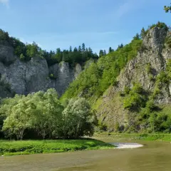 Malowniczy przełom Dunajca z łodziami flisackimi, skalnymi zboczami porośniętymi drzewami i zieloną łąką.