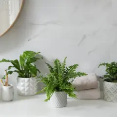 Tres plantas para el baño, un helecho frondoso y dos plantas de hojas verdes, aportan frescura a la encimera junto a un lavabo y toallas apiladas.