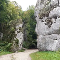 Kamieniołomy i skalne wąwozy, otoczone bujną zielenią, tworzą malownicze krajobrazy. To właśnie takie miejsca sprawiają, że lasy w Krakowie są tak wyjątkowe.