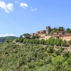 Panoramica di un borgo collinare con case colorate e un campanile, circondato da uliveti e vegetazione lussureggiante. Un'idea di cosa vedere a Montecatini Terme.