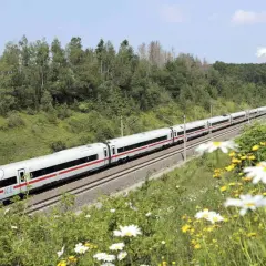 Pociąg ICE DB pędzi przez zielone wzgórza, otoczony polnymi kwiatami.