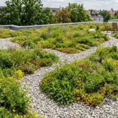 Grünes Paradies auf einem Flachdach mit vielen Pflanzen und Kiesflächen. Solarpaneele und Sitzgelegenheiten sind ebenfalls zu sehen.