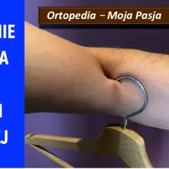 Zerwanie bicepsa w części dalszej. Metalowy haczyk wisi na zgięciu łokcia, symbolizując uraz.