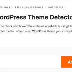 Jak sprawdzić motyw WordPress? Detektory, kod i triki eksperta