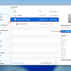 Jak znaleźć kosz w komputerze? Wybierz dysk "APPLE SSD AP0256Q" i kliknij "Search for lost data".