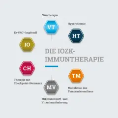 Schema der IOZK-Immuntherapie mit verschiedenen Ansätzen zur Verbesserung der Immuntherapie Lebenserwartung.