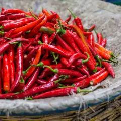 Koszyk pełen ostrych papryczek chili. Pamiętaj o przeciwwskazaniach do ich spożywania, zwłaszcza przy problemach z żołądkiem.