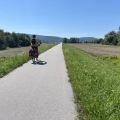 Rowerzysta przemierza malownicze jezioro Rożnowskie, odkrywając jego urokliwe trasy rowerowe.
