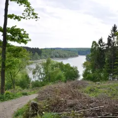 Ein Weg führt am Ufer der Wuppertalsperre entlang, umgeben von üppigem Grün und Bäumen.