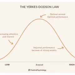 Yerkes-Dodson Law graph showing optimal stress leads to optimal performance. Too little or too much arousal impairs performance.