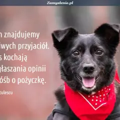Czarny pies w czerwonej bandanie, ilustrujący cytaty o psach: "W psach znajdujemy prawdziwych przyjaciół. One nas kochają bez wygłaszania opinii i bez próśb o pożyczkę.
