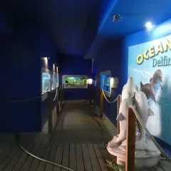 Oceanarium Łeba – fascynujący świat morskich stworzeń i edukacji