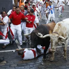Hombres vestidos de blanco corren junto a toros de la ganadería Gregorio Garzón. Uno cae al suelo.